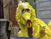 Big Bird Episode 0919