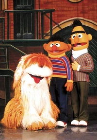 Big bird hollywood 04.jpg (325 KB)