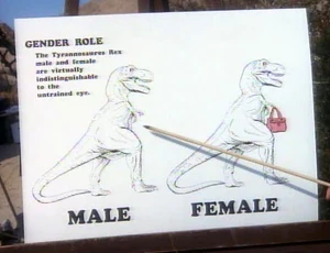 Sir David explaining dinosaur gender roles