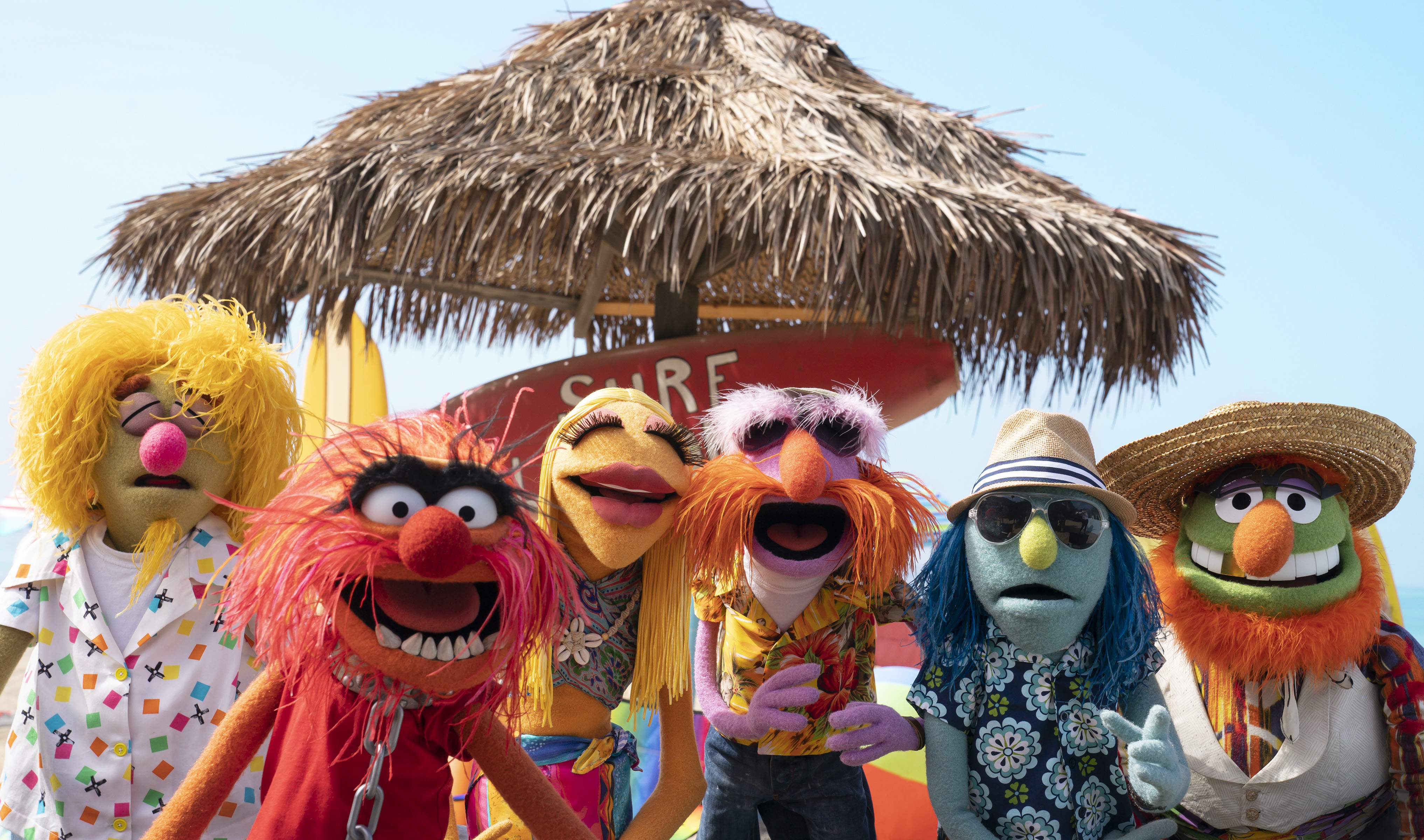 Dr. Teeth and the Electric Mayhem - Wikipedia