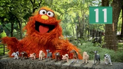 The Number of the Day: Murray (First: Episode 4195)