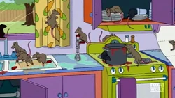 Rats simpson
