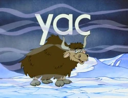 Yac