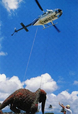 1091-SnuffyNetBTS.jpg (1.05 MB)