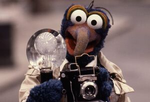 Gonzo and his camera