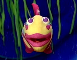 multicolored fish