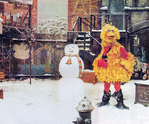 Big Bird snowman arbor SSmag Dec75.jpg