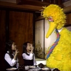 Bigbird-ichinisan.jpg