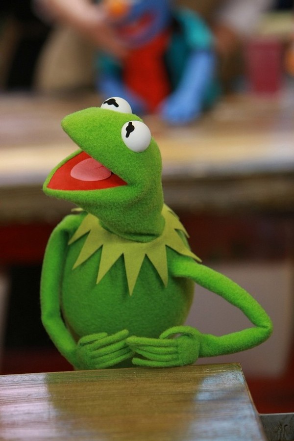 the muppets kermit the frog