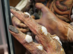 Unclaimed Baggage Center - Hoggle 08.jpg (227 KB)