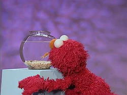 Vlcsnap-2016-11-03-05h37m51s549