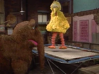 On a trampoline Episode 2148