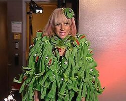 Lady Gaga in her Kermit dress