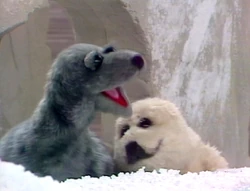 Seals on The Muppet Show, featured in "Jambalaya" also appeared on The Ghost of Faffner Hall, "The Voice Is an Instrument"