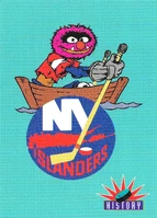 #66. New York Islanders