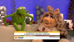 Today-Kermit&MissPiggy-02-(2009-12-03).jpg