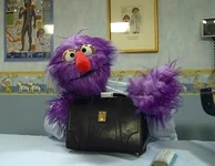 WestWingMuppetDoctor