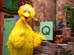 Big Bird Quickie Q - Quack