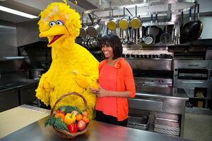 BigBird&MichelleObama