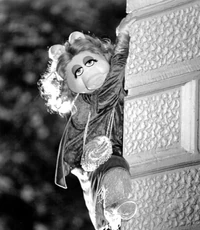 GMC-NoStuntPig.jpg (474 KB)