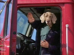 Wegman truck driver