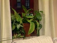 Florismcdirt.jpg (52 KB)