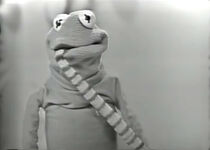 GloWorm-Douglas.jpg (134 KB) The Mike Douglas ShowJuly 22, 1966