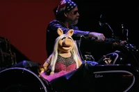 HarleyPiggy3.jpg (279 KB)