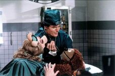 Muppets reeve DW P 1267859s.jpg (870 KB)