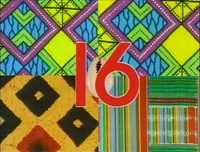 16.shellquilt.jpg (213 KB) 16 (First: Episode 2996)