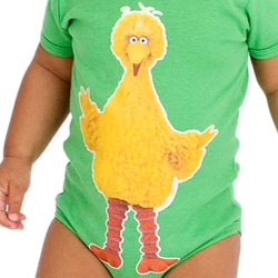 Big Bird (photo one-piece) 2009