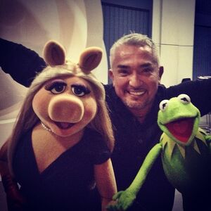 Cesar Millan 2014