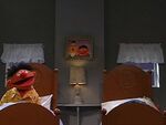 Ernie and Bert: Ernie Counts Backwards