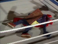 Gonzo in The Muppet Show episode 207