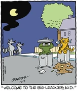 Heathcliff20241203.gif (79 KB) On December 3, 2024, Heathcliff is again hanging out with Oscar.