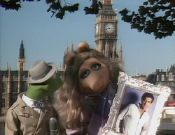 1981