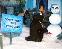 Macy's windows 2002 e.jpg (64 KB)