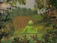 Song.beinggreen76.jpg
