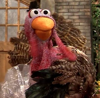 turkey in "That's Cooperation"