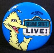 Sesame street live pin 1980