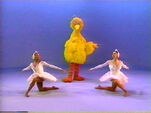 Dance Theatre of Harlem: 3 Birds