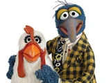 Gonzo's attraction to chickens