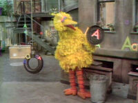 "The Sound of the Letter A" (Big Bird) (EKA: Episode 0345)