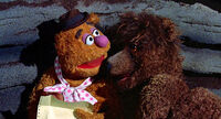 Fozzie Bear in Maine bringing back bears