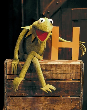 Kermit presents the letter  in front of  (source unknown).