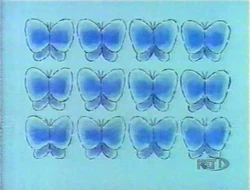 12Butterflies