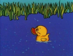 One Duck (First: Episode 3095)