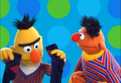 Bert Perfectpair intro