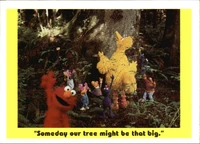 46: "Someday our tree might be that big."