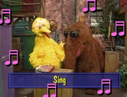 Bigbird-sing